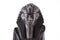 Statuette of the Egyptian pharaon