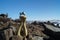 Statuette of lovers among stones on the background of a snow-covered mountain range and blue sky