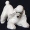 Statuette, a sculpture of a white crouching poodle on its front paws