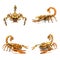 Statuettes of wooden scorpions isolated on a white background