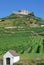 Staufen,Schwarzwald,black forest,germany