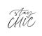 Stay chic ink pen vector lettering