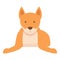 Stay dingo dog icon cartoon vector. Wild nature