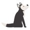 Stay husky icon cartoon vector. Siberian dog