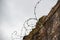 Stay Out - Rolled barbed wire along the top of an old mossy wall - closeup angled with selective focus