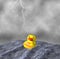 Stay Strong Be Tough Yellow Duck Afloat Rainstorm Illustration