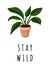 Stay wild banner. Monstera potted succulent plant postcard. Cozy lagom scandinavian style poster