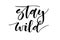 Stay wild. Inspirational quote. Handwritten text. Modern calligr