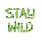 Stay wild, slogan. Hand drawn lettering Vector illustration