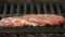 Steak of beef, pork or veal marinated with spices is on the grill, in the background smoke from coals, the background is