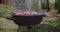 Steak grill grilled on the bbq. Picnic in nature. Prepare raw meat in barbecue 4k video