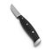 Steak knife, with black handle, isolated on white