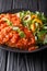 Steak with pizzaiola sauce and fresh vegetable salad close-up on