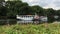 Steam boat on River Thames, Richmond Upon Thames, Surrey, England