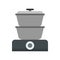 Steam cooker icon, flat style