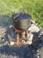 Steam cooking pot on fire