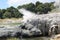 Steam Geysers in Te Puia National Park, Rotorua, New Zealand.