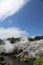 Steam Geysers in Te Puia National Park, Rotorua, New Zealand.