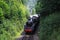 Steam Locomotive, Arley.