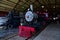 Steam  locomotive number 102 at the national railroad museum in Green Bay WI