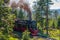 Steam locomotive powering up the hills of Brocken Mountain