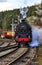 Steam Locomotive and Train, North Yorkshire Railway