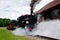 Steam narrow-gauge railway locomotive