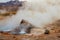 Steam of one of the beautiful El Tatio geysers at sunrise, Chile.