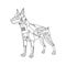 Steam punk style doberman dog coloring book vector