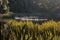 Steam raising from lake Matheson