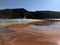 Steam rising from Grand Prismatic Spring with bacterial mats in Yellowstone National Park