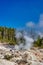 Steam rising from a thermal spring surrounded by dead pine trees in Yellowstone