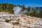 Steam rising from a thermal spring surrounded by dead pine trees in Yellowstone