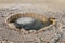 Steam thermal pond. Yellowstone National Park