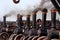Steam traction engines