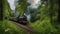 steam train in the forest _A burning classic train, on fire, with a bronze funnel and a green coach,