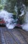 Steam train going back through rain forest