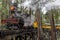 Steam train passing through redwood forests
