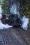 Steam train in rain forest