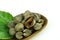 Steamed blanched clams on white background