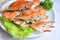 Steamed or boiled Blue Swimming Crab ocean gourmet with salad vegetables lettuce, Fresh seafood crab on white plate cooking food