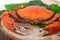Steamed crab on wooden server board with herbs
