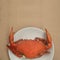 Steamed crabs prepared on white plate