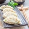 Steamed Korean dumplings Mandu with chicken meat and vegetables