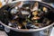 Steamed mussels in white wine and butter sauce