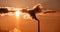 Steaming cooling towers and smoking industrial stacks against sunset gradient sky