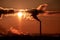 Steaming cooling towers and smoking industrial stacks against sunset gradient sky