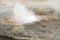 Steaming geyser vents at Fountain Paint Pots in Yellowstone National Park