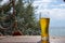 A steaming glass of beer stands on the bar