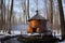 steaming maple sap boiling in a large outdoor pan